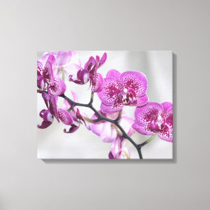 Pink Orchids Wrapped Canvas