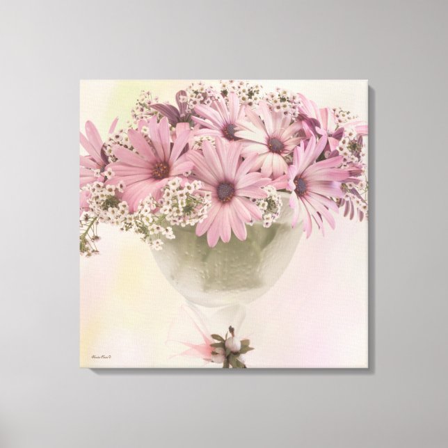 Pink Osteospernum Canvas Print (Front)