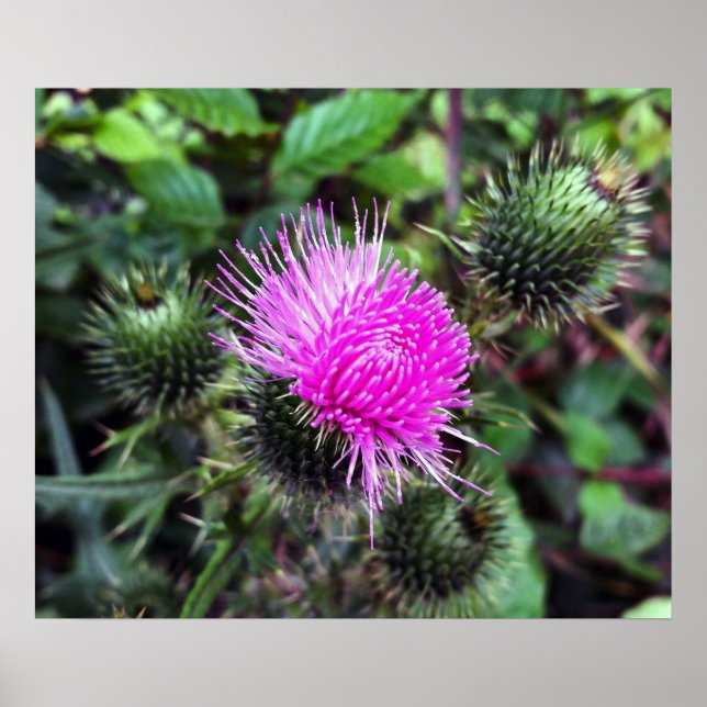 pink outburst poster (Front)