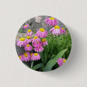 Pink Painted daisy Flowers Nature photography 1 Inch Round Button
