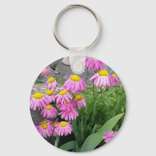Pink Painted daisy Flowers Nature photography Keychain