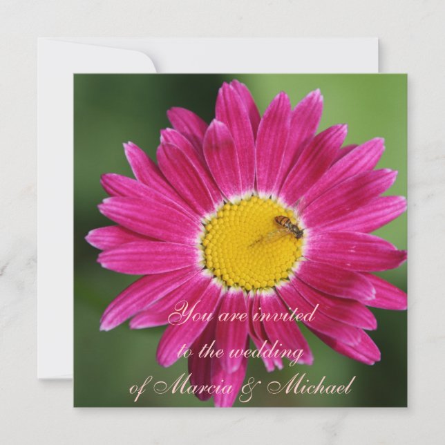 Pink Painted Daisy Invitation (Front)