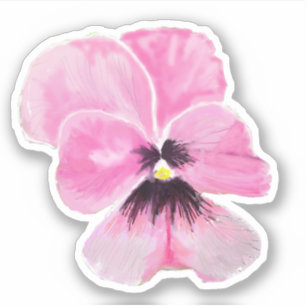 Pink pansy contour sticker