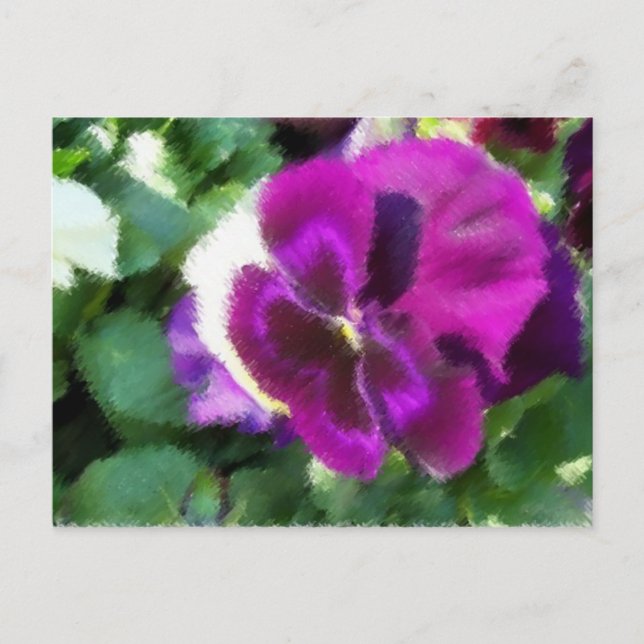 Pink Pansy Postcard (Front)