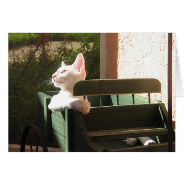 Pink Panther se déplace à nouveau (Devant horizontal)