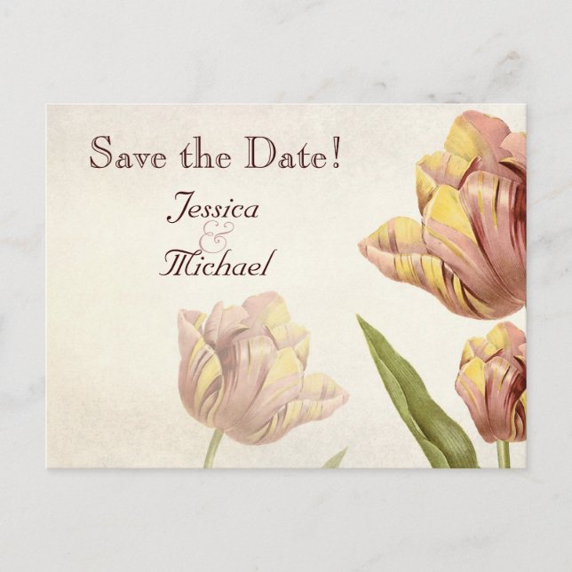 Pink Parrot Tulip Save the Date Postcard (Front)