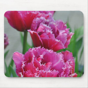 Pink parrot tulips mouse pad