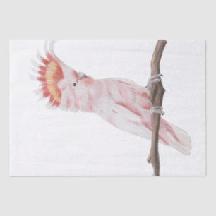Pink Parrot Watercolor Art Tissue Paper
