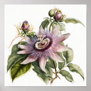 Pink Passion Flower Art Imprimer Poster