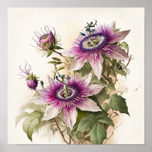 Pink Passion Flower Art Print Poster (Front)