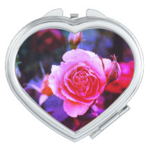 Pink Passion in a Rose 
