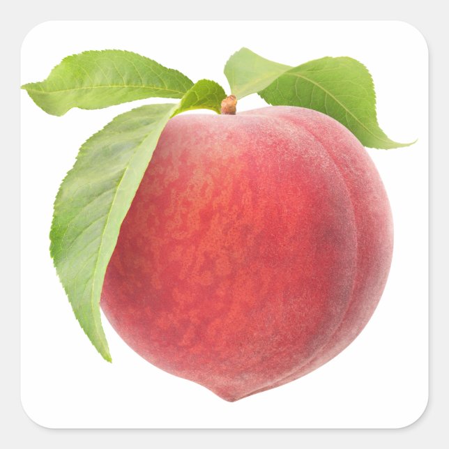 Pink peach square sticker (Front)