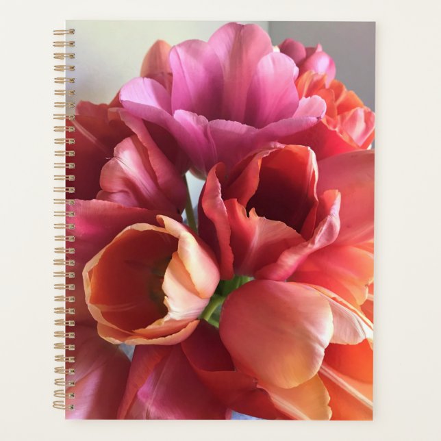 Pink & Peach Tulip Bouquet (Devant)