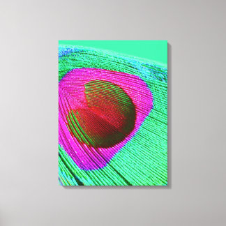 Pink Peacock Feather Canvas Print