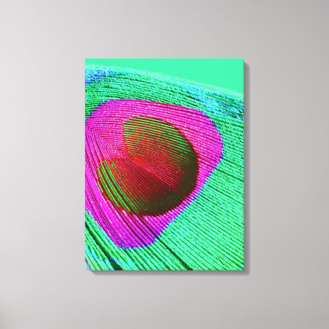 Pink Peacock Feather Canvas Print (Front)