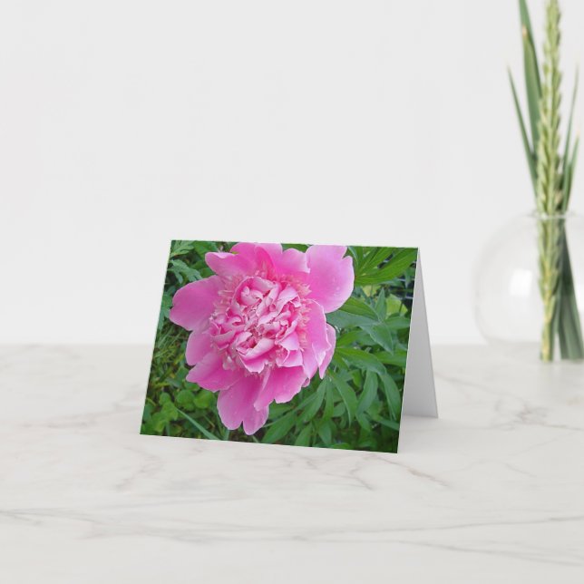 pink peonie floral notecard collection (Front)