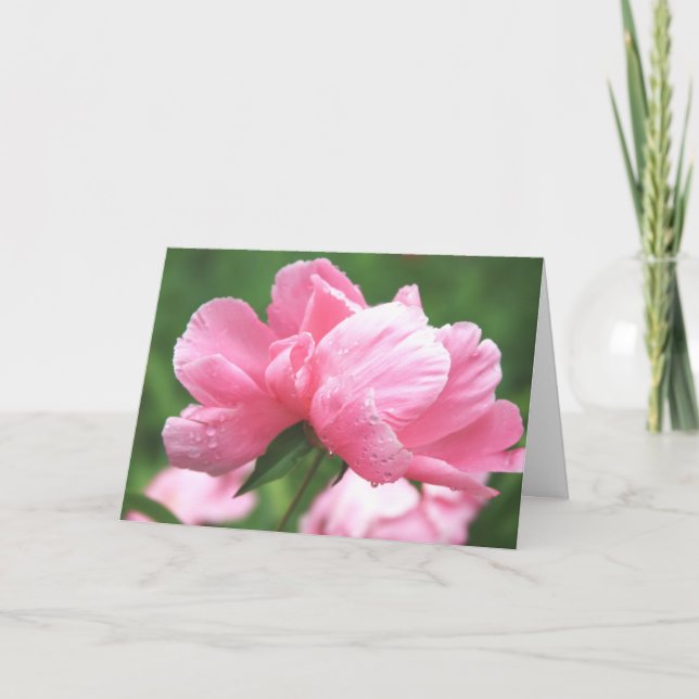 Pink Peonies Greeting Card (Front)