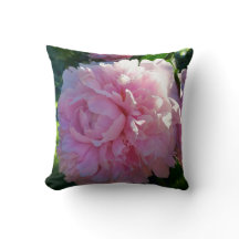 Pink Peonies in my garden - flowers- nature