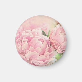 Pink Peonies Magnet