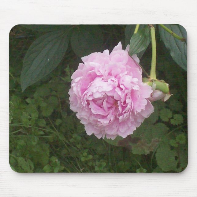 Pink Peonies Mouse Pad (Front)