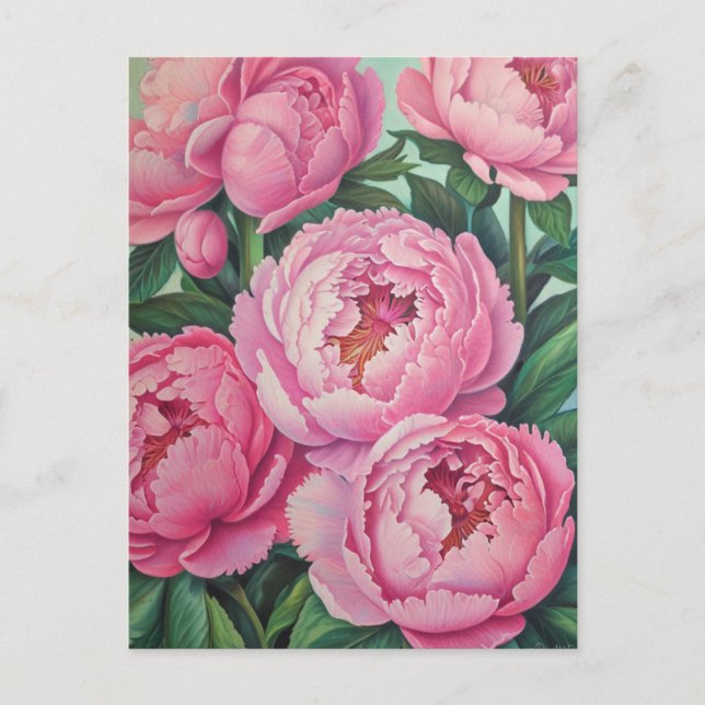Pink peonies Pastel Flower Floral Postcard (Front)