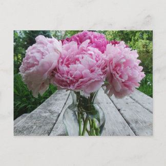 Pink Peonies / Peony Flowers Arrangement in Vase Postcard