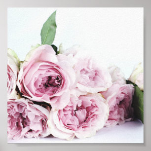 PINK PEONIES PHOTOGRAPH POSTER