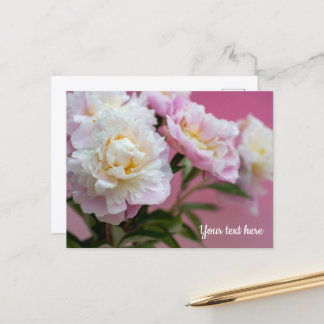 Pink Peonies Postcard