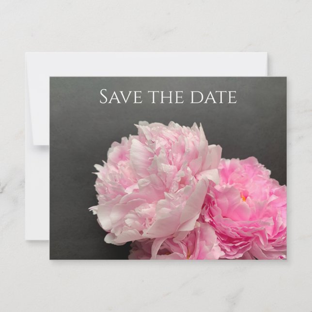 Pink peonies with text space save the date (Front)