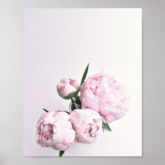 Pink Peony Art, Rose Print, Flower Art Pink Poster