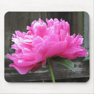 Pink Peony Bloom Mouse Pad