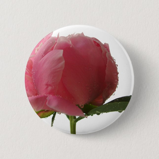 Pink Peony Blossom 2 Inch Round Button (Front)