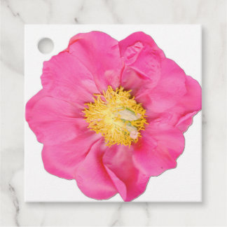 Pink Peony Blossom Botanical Square Favour Tags