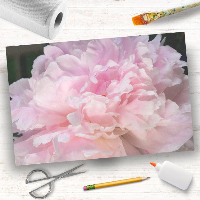 Pink Peony Blossom Tissue Paper (Creator Uploaded)