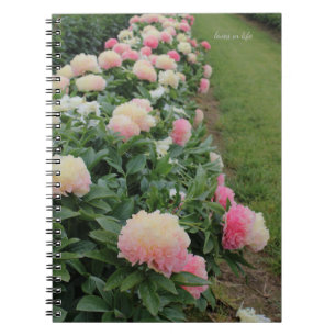 Pink Peony Border Notebook