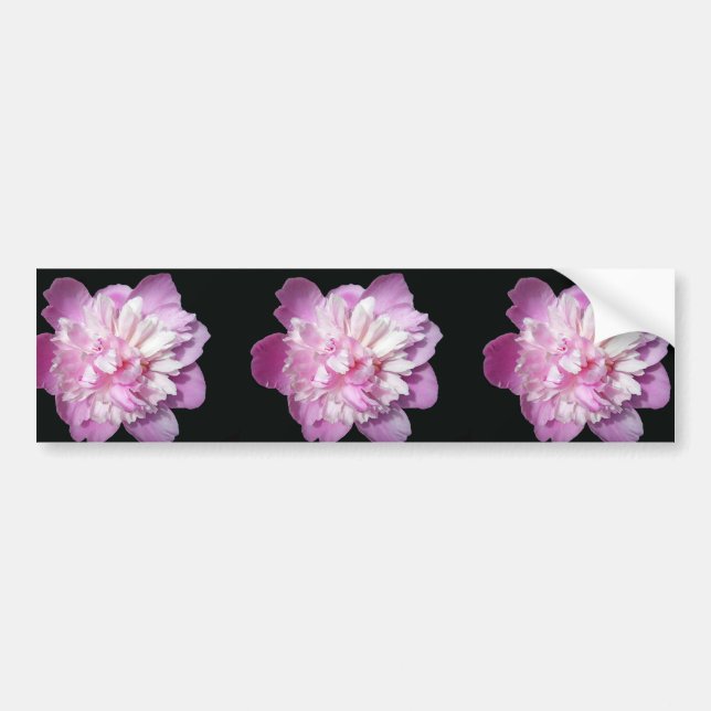 Pink Peony Bumper Sticker (Front)