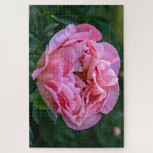 Pink Peony, Canadian Floral Photograph Jigsaw Puzzle