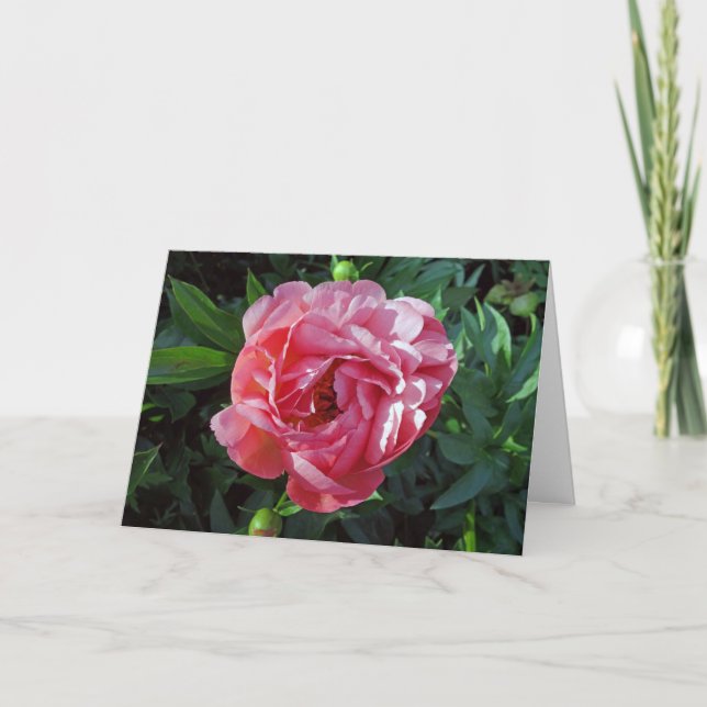 Pink Peony Card (Front)