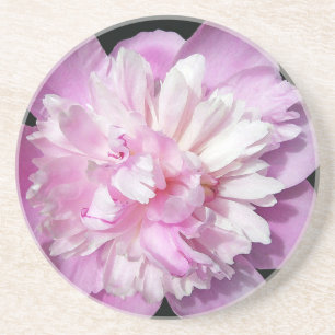Pink Peony Coaster