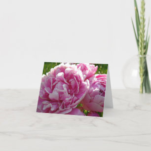 Pink Peony cottage farmhouse floral garden Card