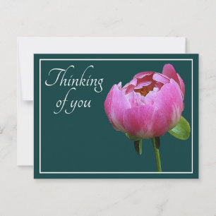 Pink Peony Cyan Background Thinking Of You Postcard