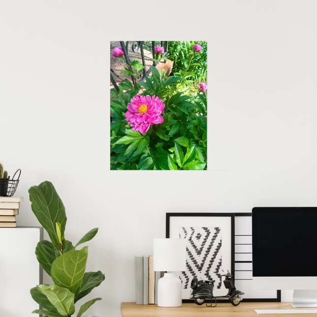 Pink Peony Flower by Black Iron Fence Photo Poster (Home Office)