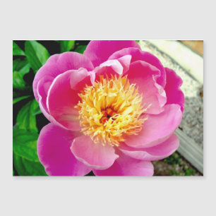 Pink Peony Flower Magnetic Card