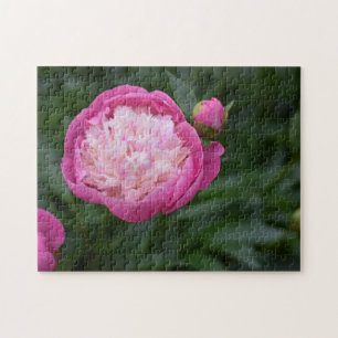 Pink Peony Flower Nature Photography Garden Jigsaw Puzzle