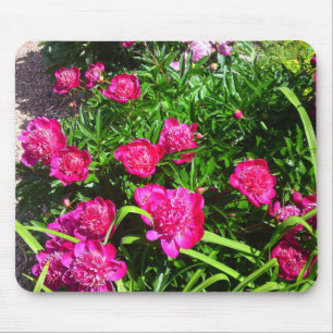 Pink Peony Flower Patch Mousepad