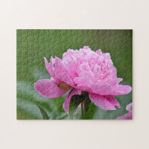 Pink peony jigsaw puzzle