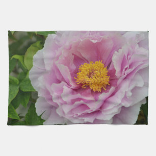 Pink Peony Kitchen Towel