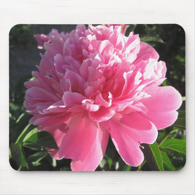 Pink Peony Mouse Pad (Front)