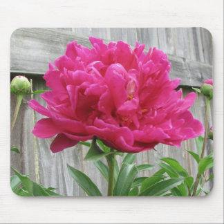 Pink Peony Mouse Pad