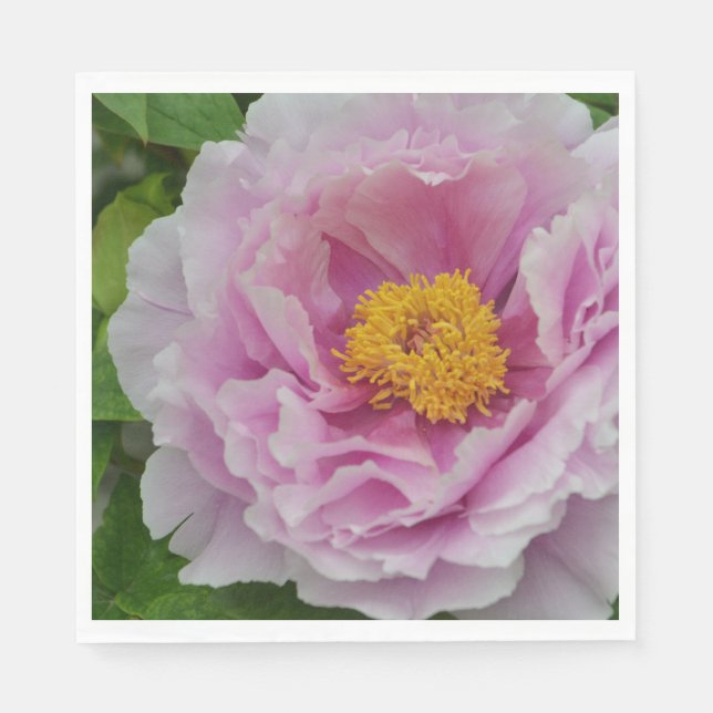 Pink Peony Napkin (Front)
